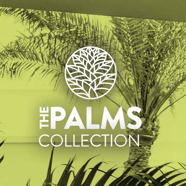The Palms Land Release Cairns The Palms land release Cairns
